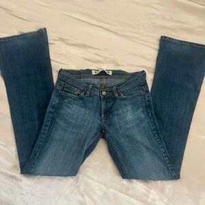 Express Low Rise Jeans